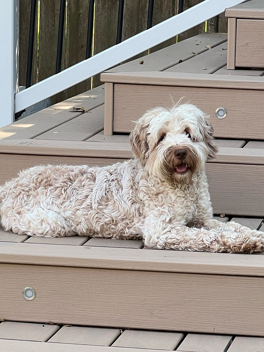 Faith - Puppy Mom